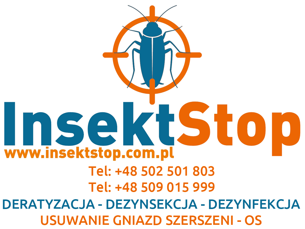 deratyzacja Grudziądz, dezynsekcja Grudziądz, dezynfekcja Grudziądz, usuwanie gniazd szerszeni Grudziądz, zwalczanie os Grudziądz, profesjonalna deratyzacja Grudziądz, profesjonalna dezynsekcja Grudziądz, zwalczanie szczurów Grudziądz, likwidacja gryzoni Grudziądz, zwalczanie myszy Grudziądz